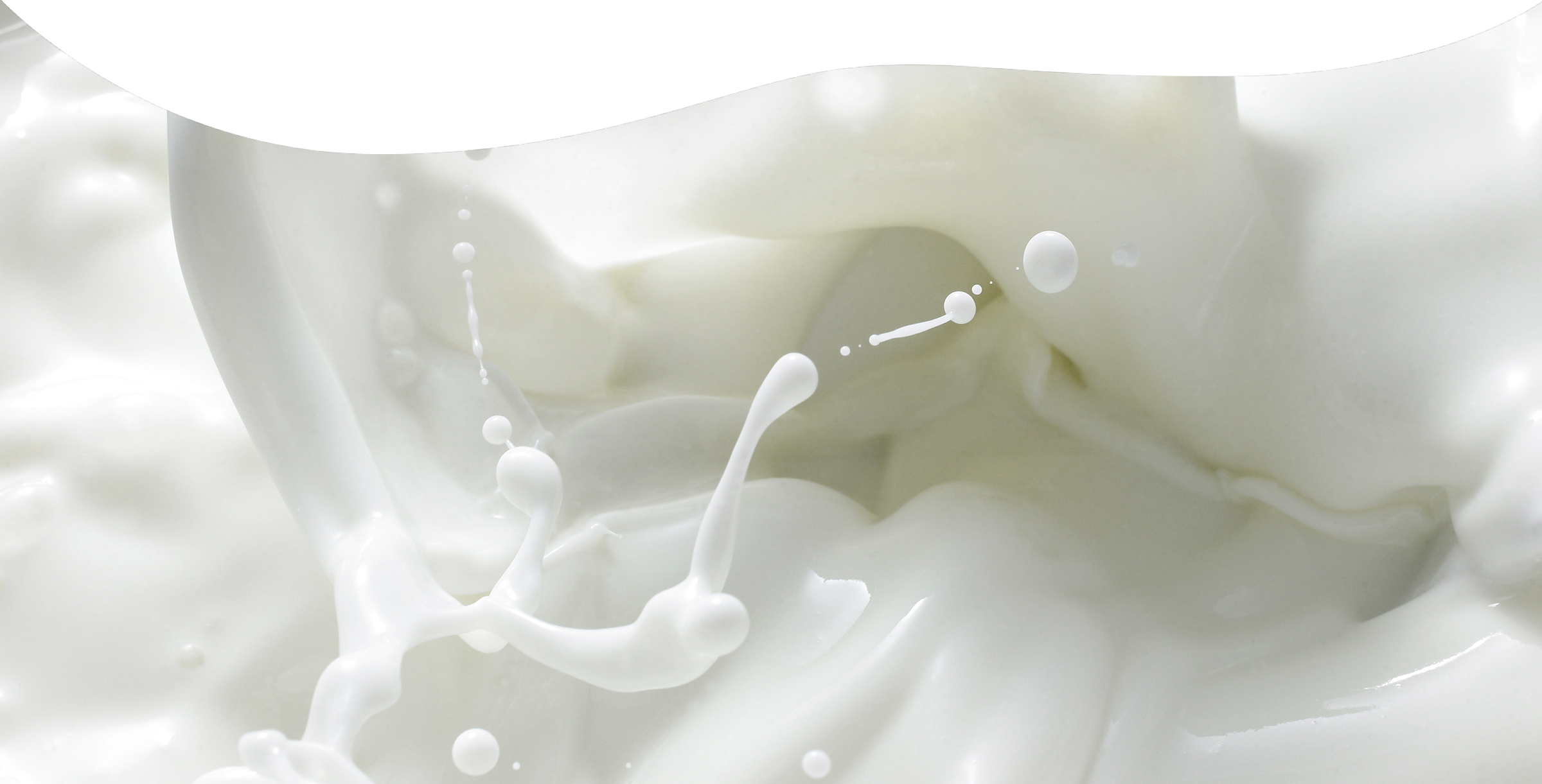 conexión entre los productores de alimentos y los mercados