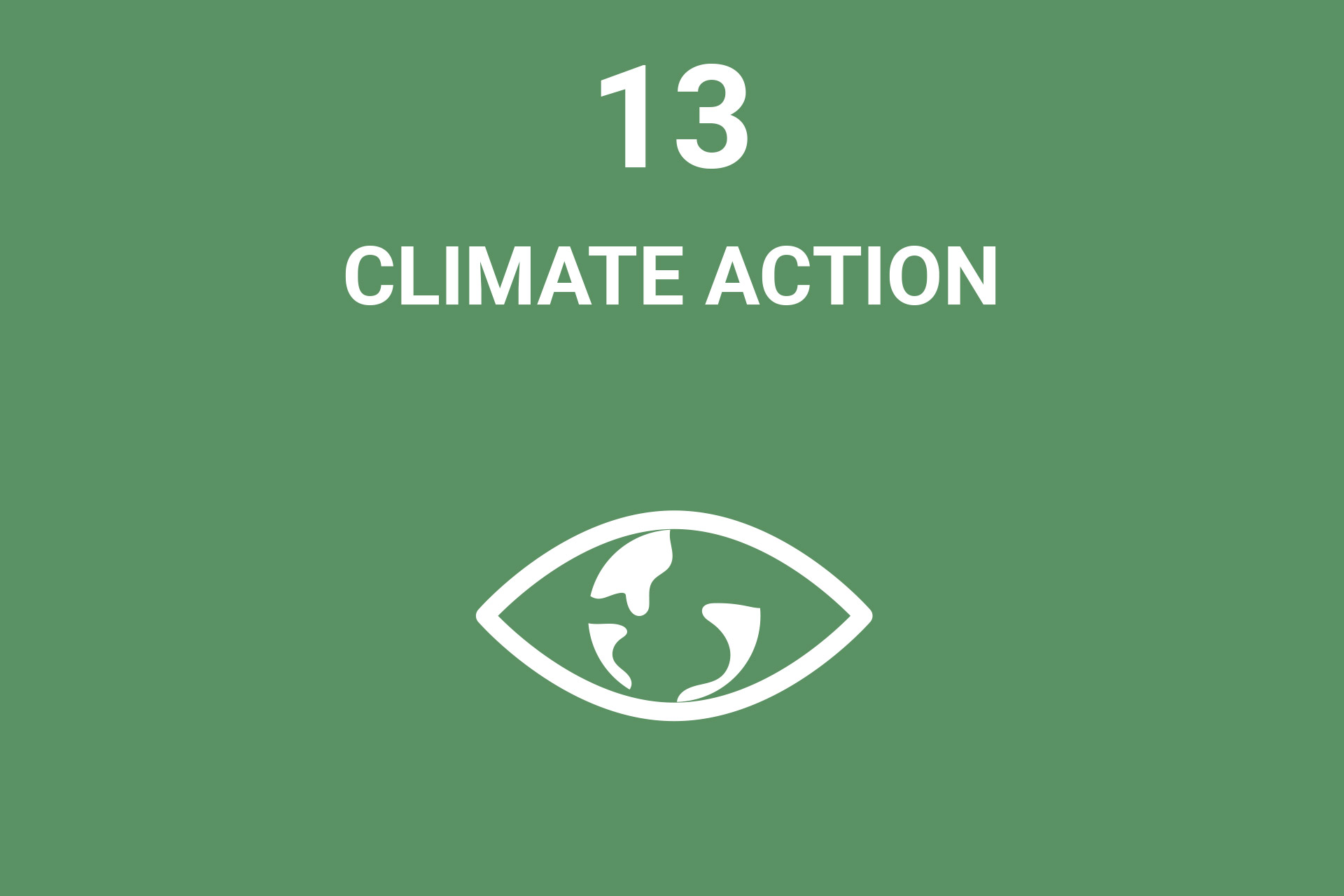 UN Sustainable Development Goals