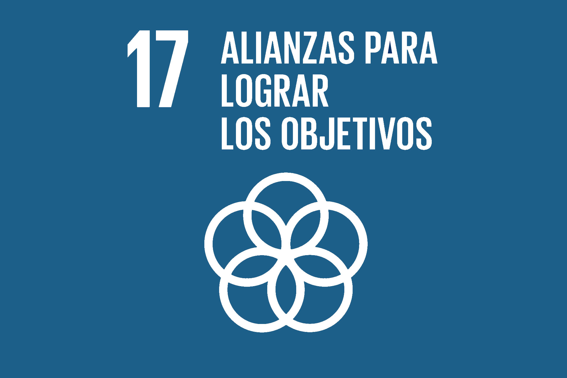 Objetivos de Desarrollo Sostenible (ODS)